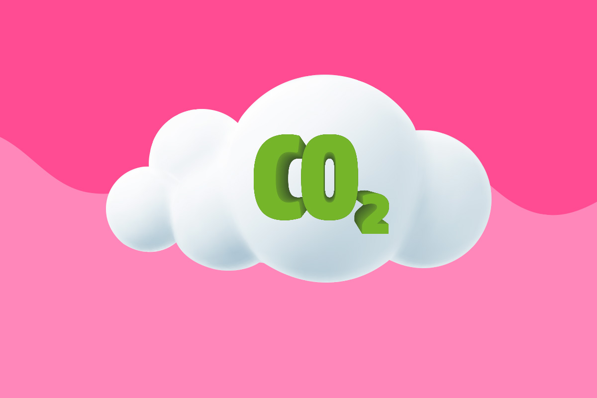 Entiende la compensación de CO2 y cómo JAH obtuvo el Certificado CleanWay REDD+