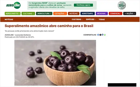5.webp